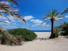 The palm forest of Vai is, indeed, one of the greatest attractions in Crete